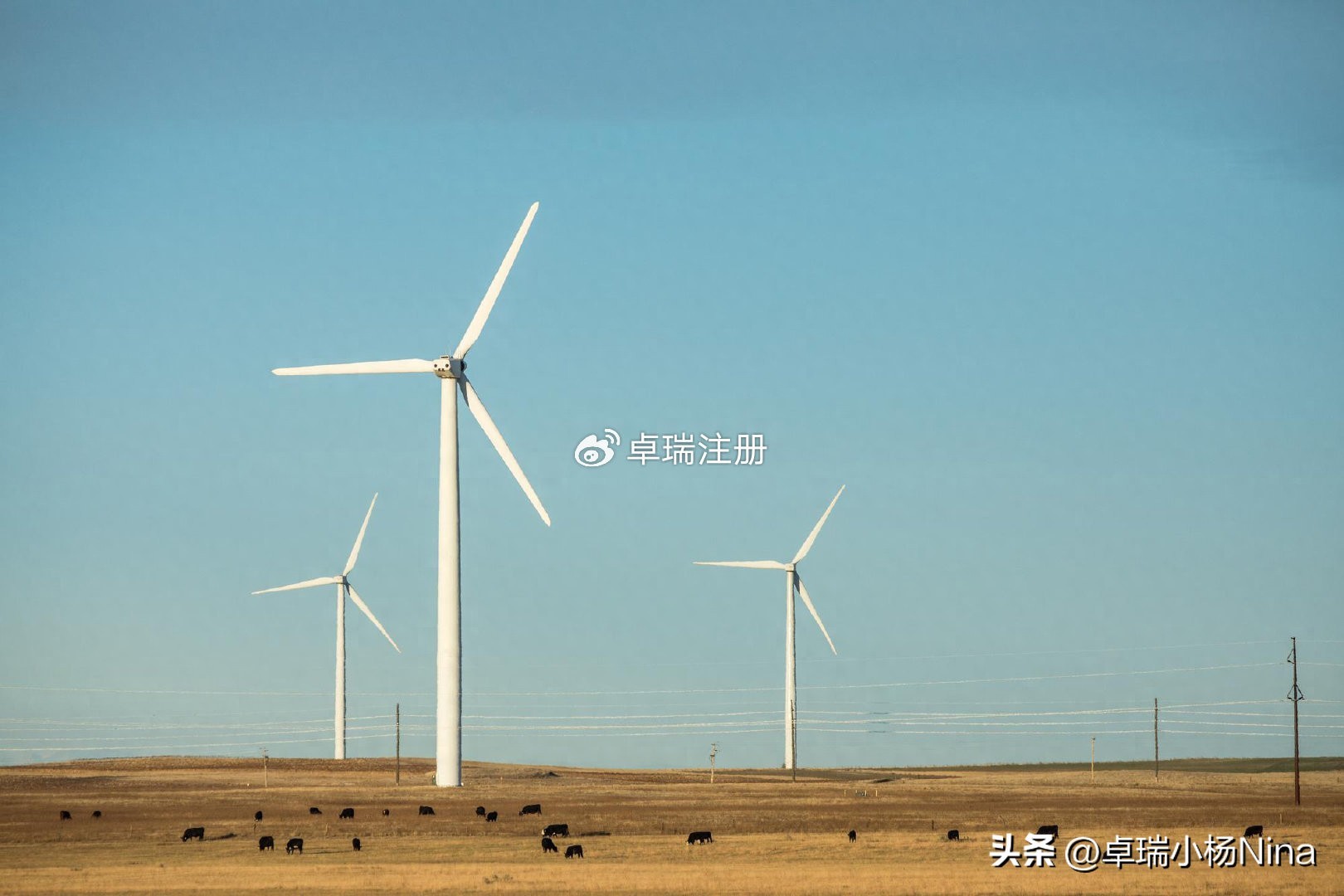 美国MTL牌照业务范围_新加坡银行外汇保证金开户_新加坡公司转让