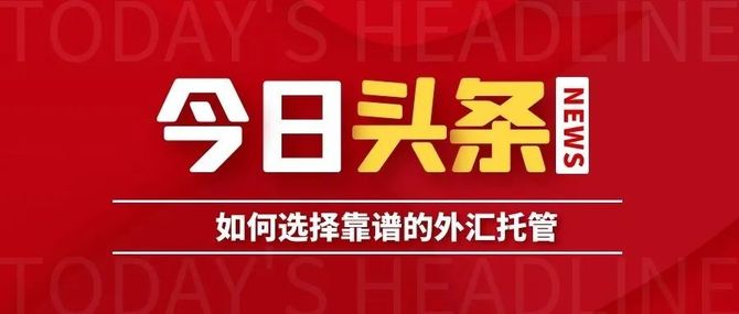 管道商学院, 如何选择靠谱的外汇托管