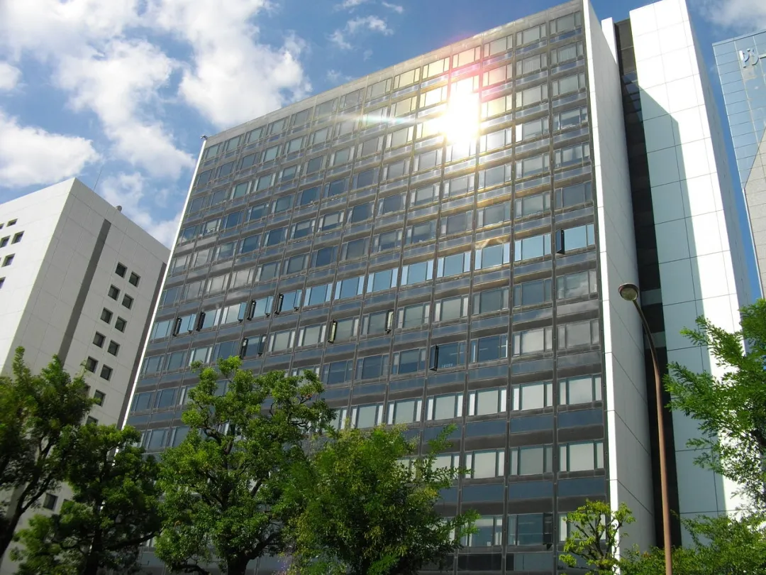 外汇保证金制度说法_关于外汇保证金_外汇保证金交易合法性