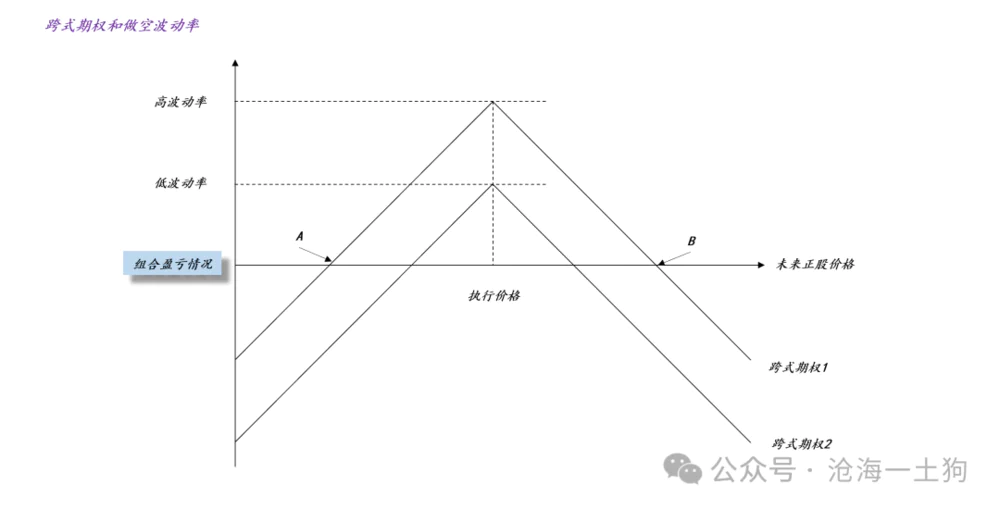 做空波动率策略_期权价格就是期权费吗_黄金价格波动率异常