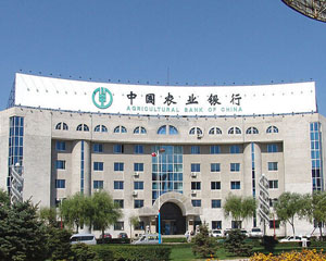 外汇交易技巧_外汇基本面分析_外汇买卖实习报告