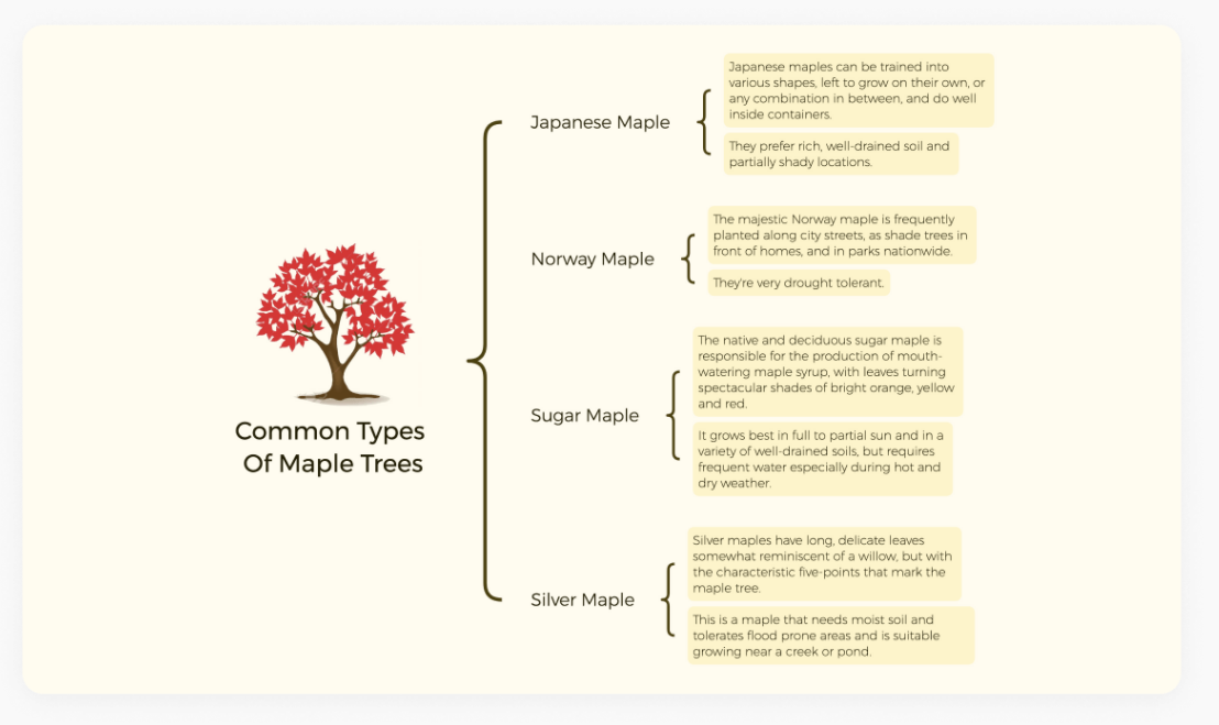 免费外汇交易系统_免费在线思维导图工具_思维导图模板网站