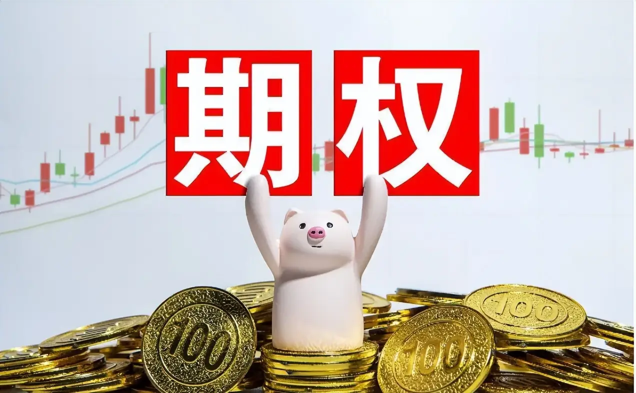 看涨期权与看跌期权_期权波动率与定价:高级交易策略与技巧_期权基础知识