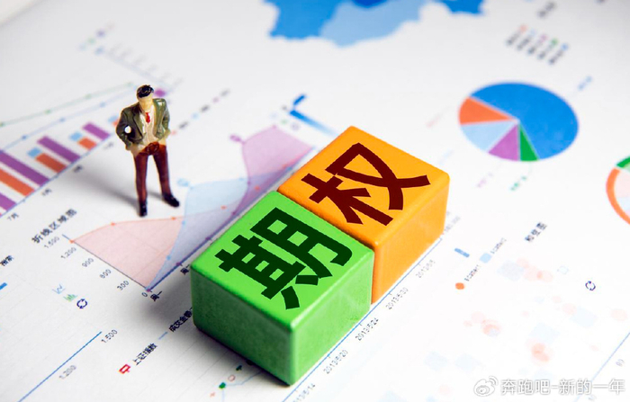 期权类型_期权波动率与定价:高级交易策略与技巧_期权基本概念