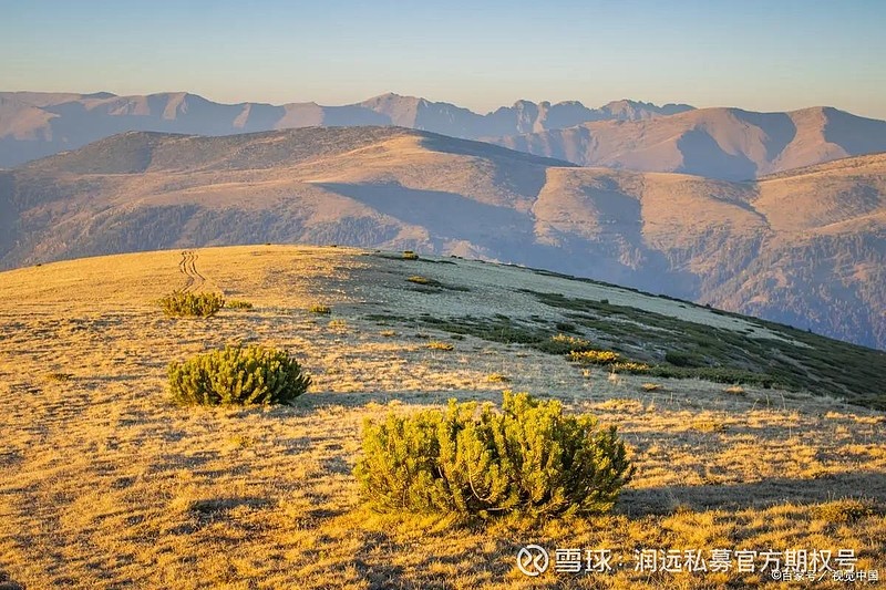 期权合约要素_期权基本概念_期权波动率与定价:高级交易策略与技巧