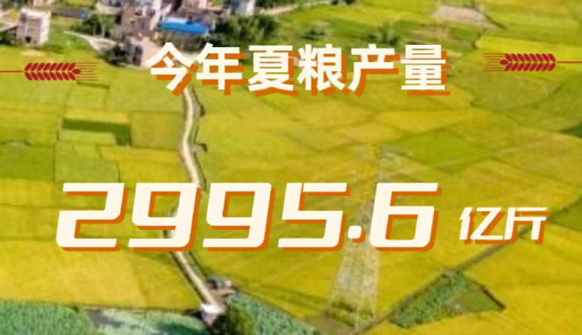 我国外汇市场发展历程_中国外汇发展历史_中国外汇市场的发展历程