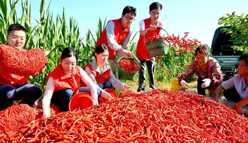 中国外汇发展历史_我国外汇市场发展历程_中国外汇市场的发展历程