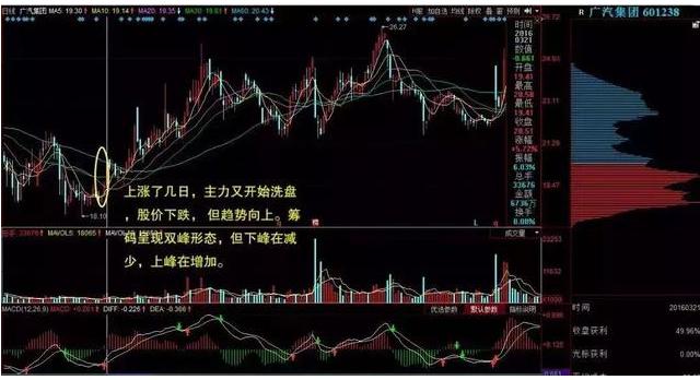 基本面决定长期股市表现_蒋菲股票_股市心理因素影响