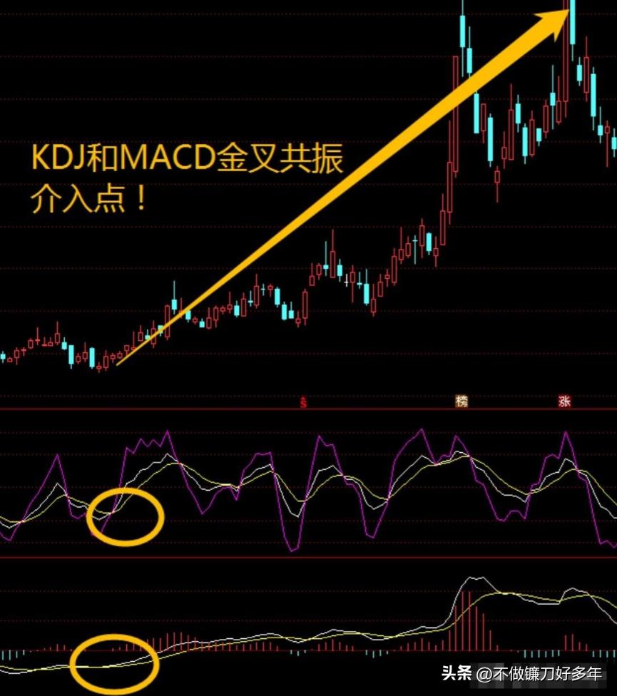 市场主力割肉散户策略_股票大涨前的信号_涨停股前六信号识别