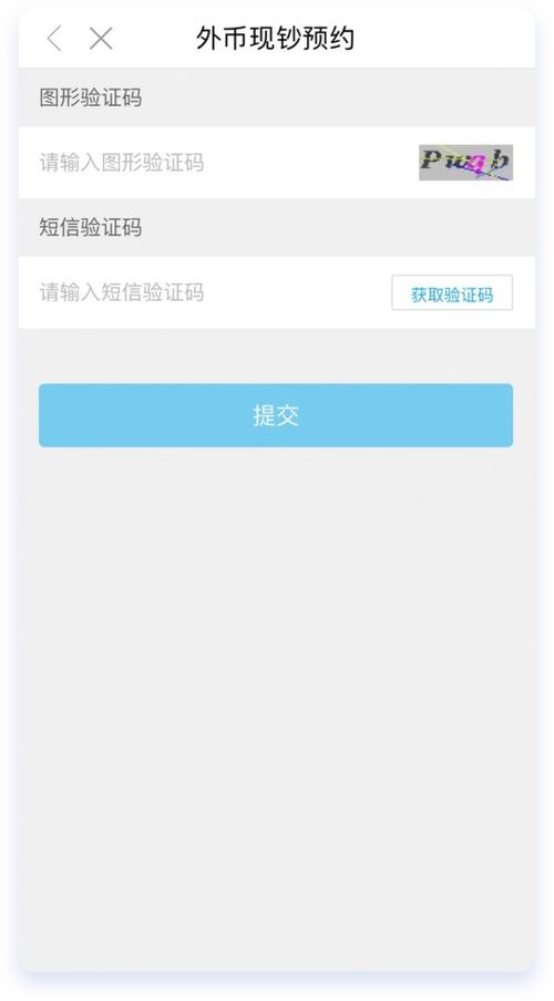 中国银行美元兑换人民币是否需要预约_中国银行兑换外币预约流程_工行网上预约 取外币