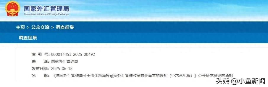 结汇资金属性选哪个_深化跨境融资外汇管理改革_深化跨境投资外汇管理改革