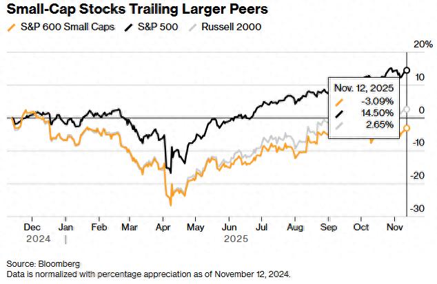 2025小盘股股票名单_美股小盘股高贝塔系数表现优异_小盘股盈利增长超过大型公司