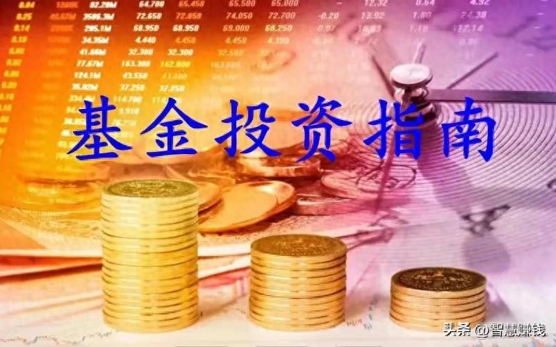 股票型基金与指数型基金区别_股票型基金怎么操作_股票型基金与指数型基金选择