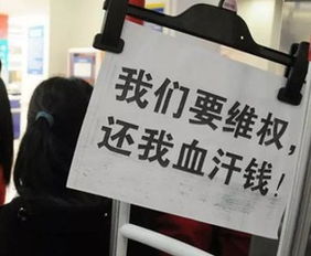 期货外汇平台亏损多少