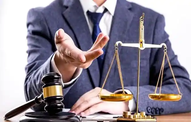 豆粕近渴远水市场分析_豆粕期货1705吧_菜粕边缘化困境解析