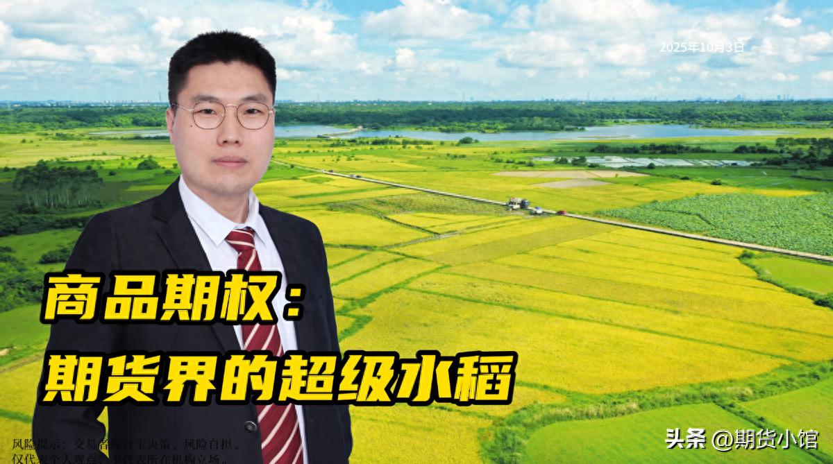 商品期权交易_期权费计算方法_期权费指