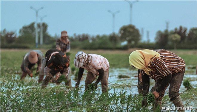 美国墨西哥湾原油泄漏_墨西哥原油泄漏事件影响_美国墨西哥湾原油泄漏事件案例