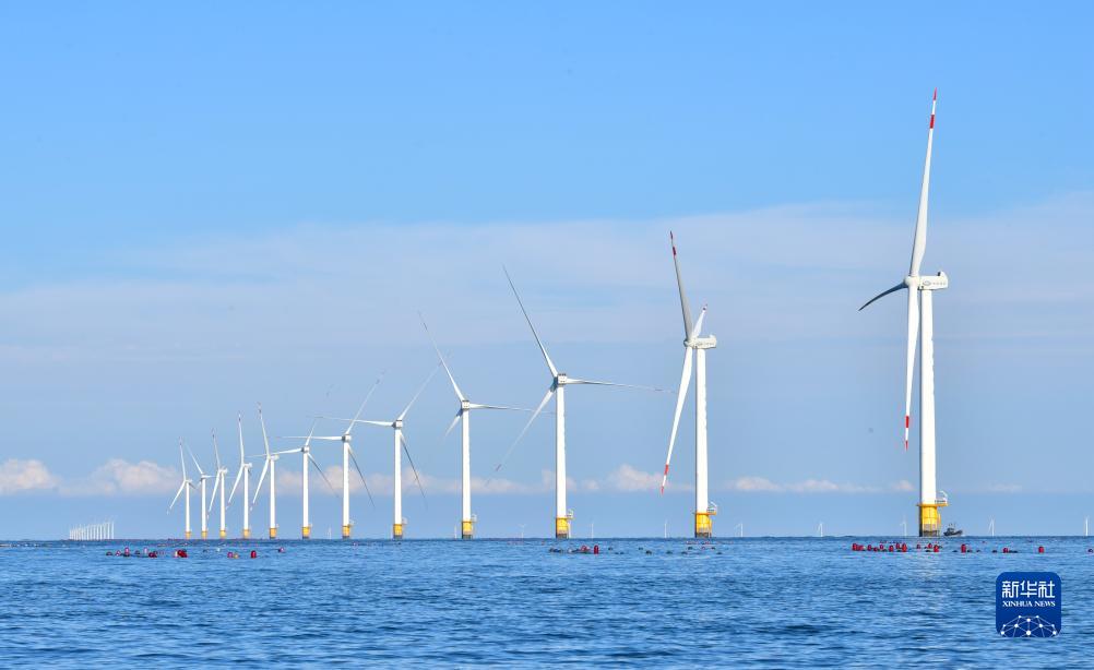 我国外汇储备结构_储备外汇是什么意思_中国储备外汇的目的