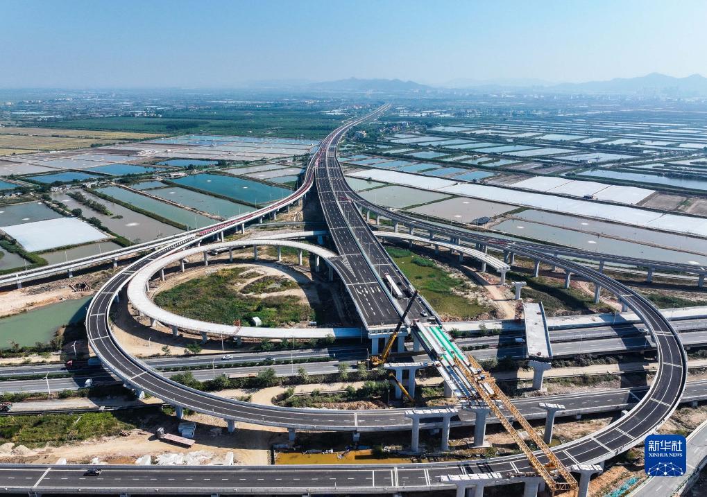 中国储备外汇的目的_储备外汇是什么意思_我国外汇储备结构