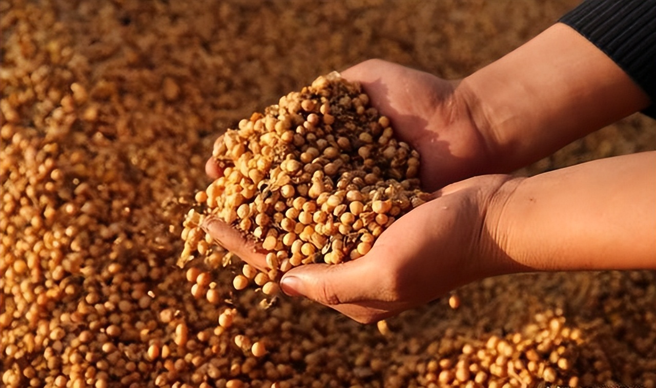 铁矿石人民币结算_全球外汇市场交易额_大豆贸易人民币结算