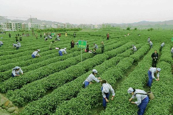 杭州汇禾禧福汇_杭州方便携带美味实用特产_杭州点心特产推荐