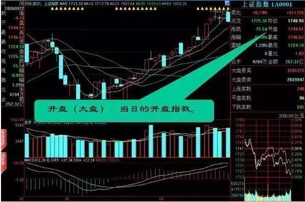 盘口语言庄家语言_职业股痴业余炒股退休炒股者_期货分时图交易十八式