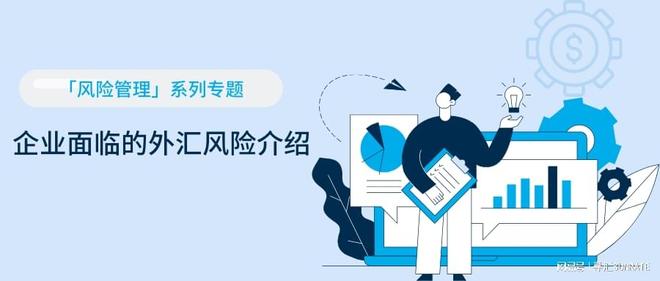 人民币汇率变动对企业面临的外汇风险_企业外汇风险类型_交易风险经济风险会计风险