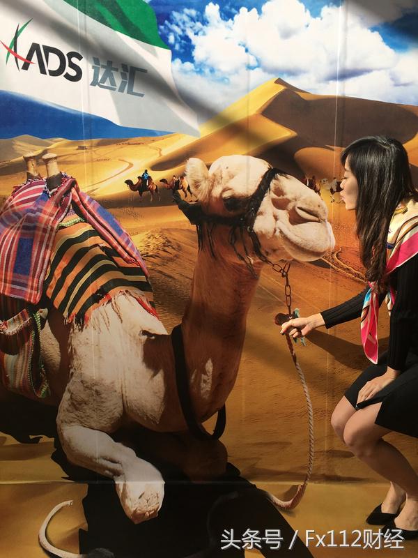 ADS达汇贵金属交易_铁汇mt4_ADS达汇外汇交易