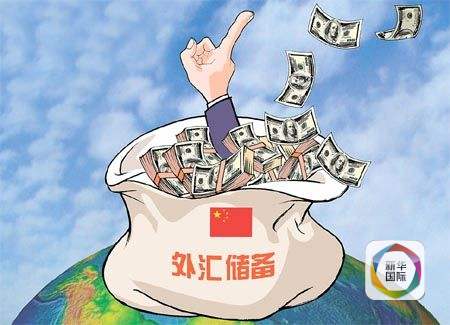 外汇储备委托贷款_外汇储备减少是否意味着资本外逃_中国外汇储备下降原因