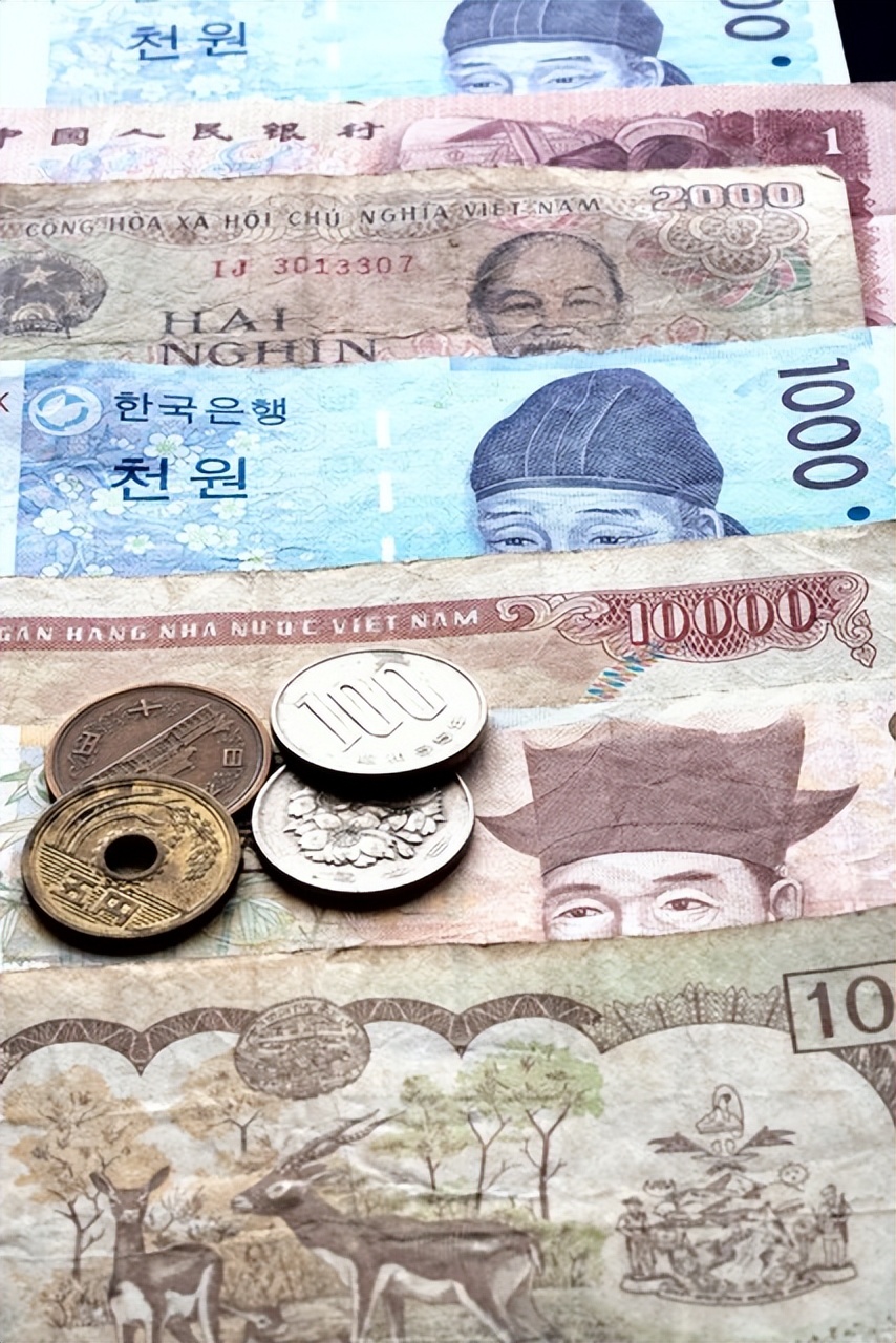 世界各国币种图片大全_最不值钱的10种货币_越南盾汇率人民币