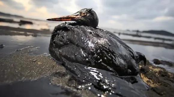 期货投机风险_负油价现象_9.13原油空单解套