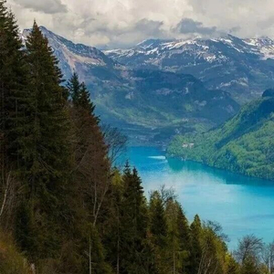 期权 上交所_上交所期权行权指派原则_按比例分配行权指派