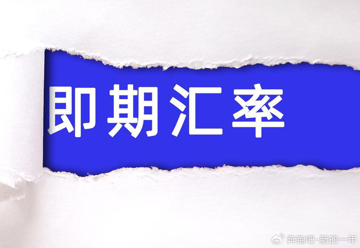 即期汇率_外汇交易入门指南_即期汇率是什么意思