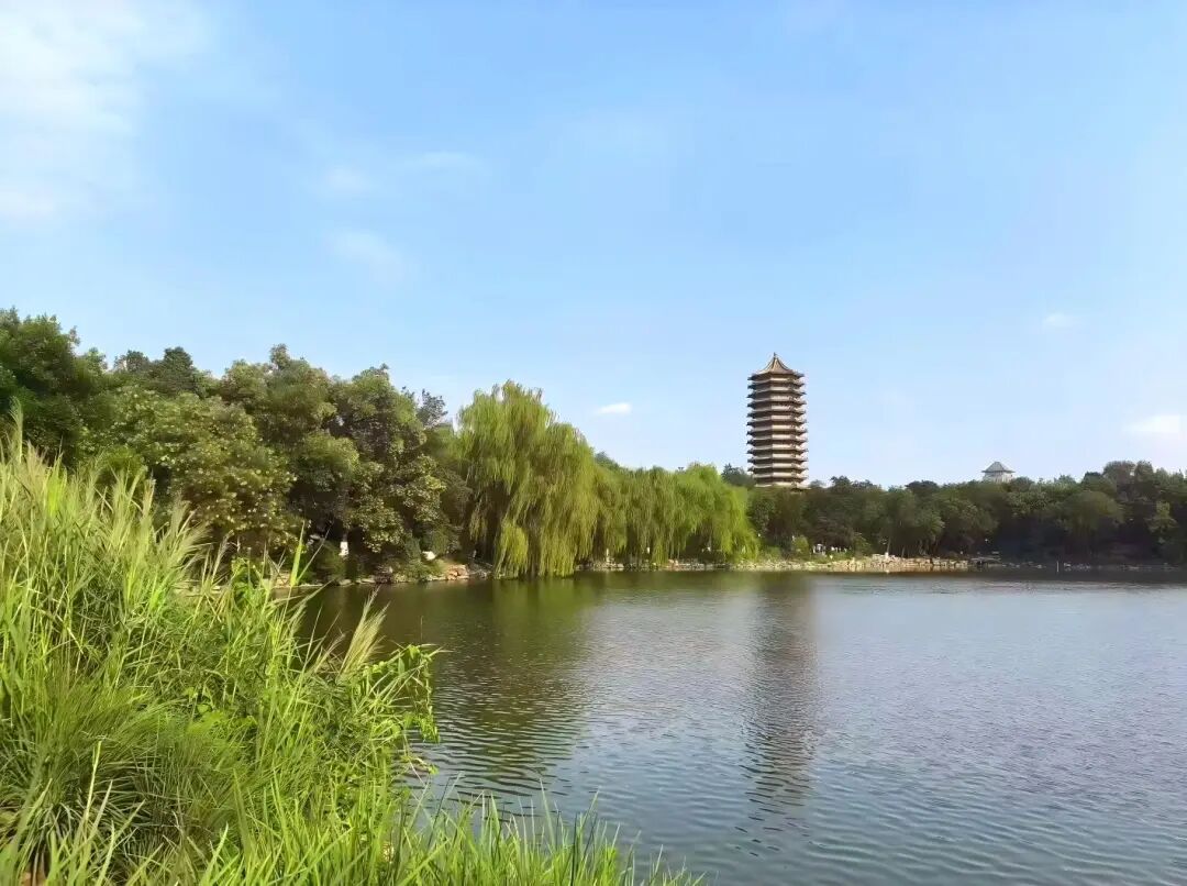 股票投资课程_北大证券课_北京大学金融交易课程