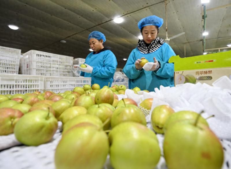 中小微外贸企业人民币升值应对策略_外贸企业及时结汇汇率风险管理_外汇结汇是什么意思