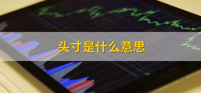 什么是资金头寸表_头寸是什么意思_资金头寸是什么意思