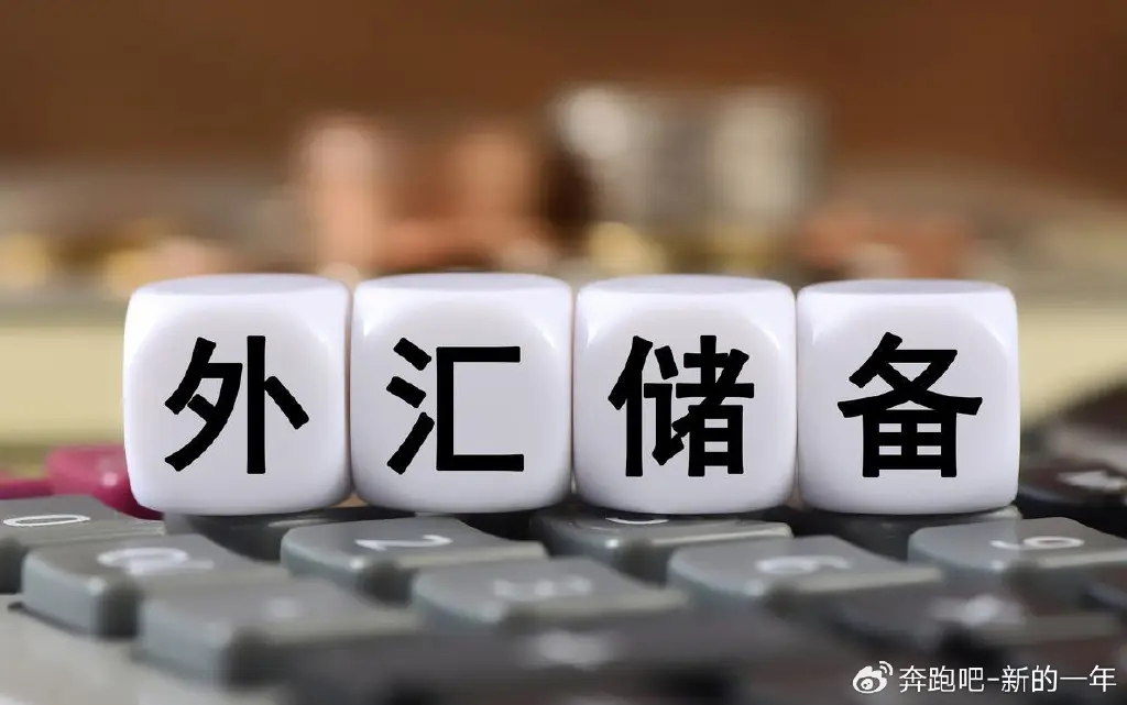 中国外汇储备投资多样化研究_外汇储备构成分析_外汇储备定义和作用