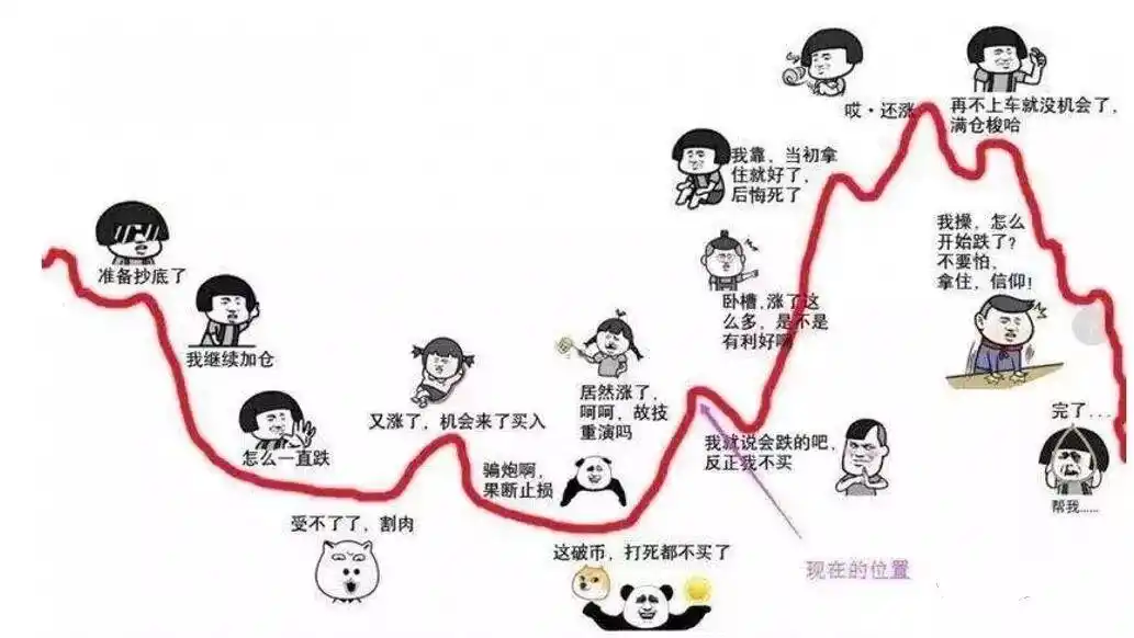 外汇投资实战指南_外汇交易长线稳健获利_外汇交易新手交易技巧