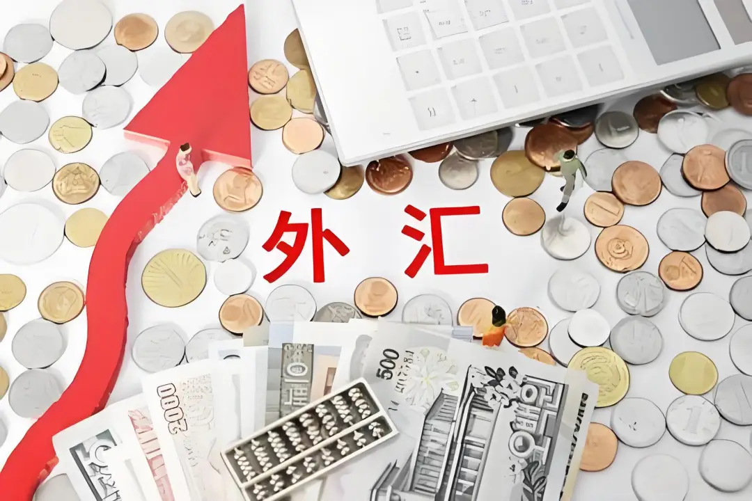 外汇收汇结汇流程_外汇收汇结汇注意事项_结汇单据