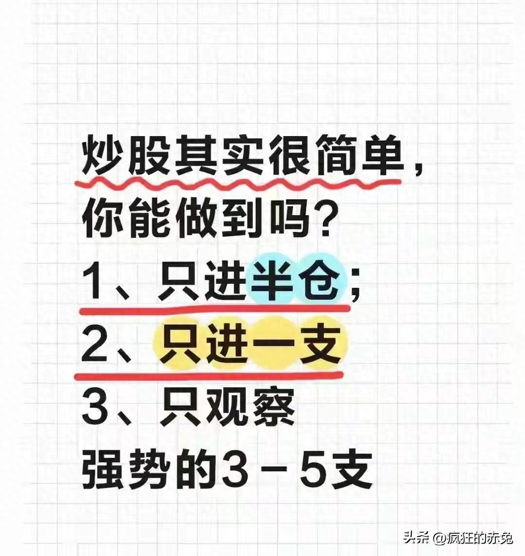 炒股半仓单吊_股票中的一手是多少_只进一支深度研究