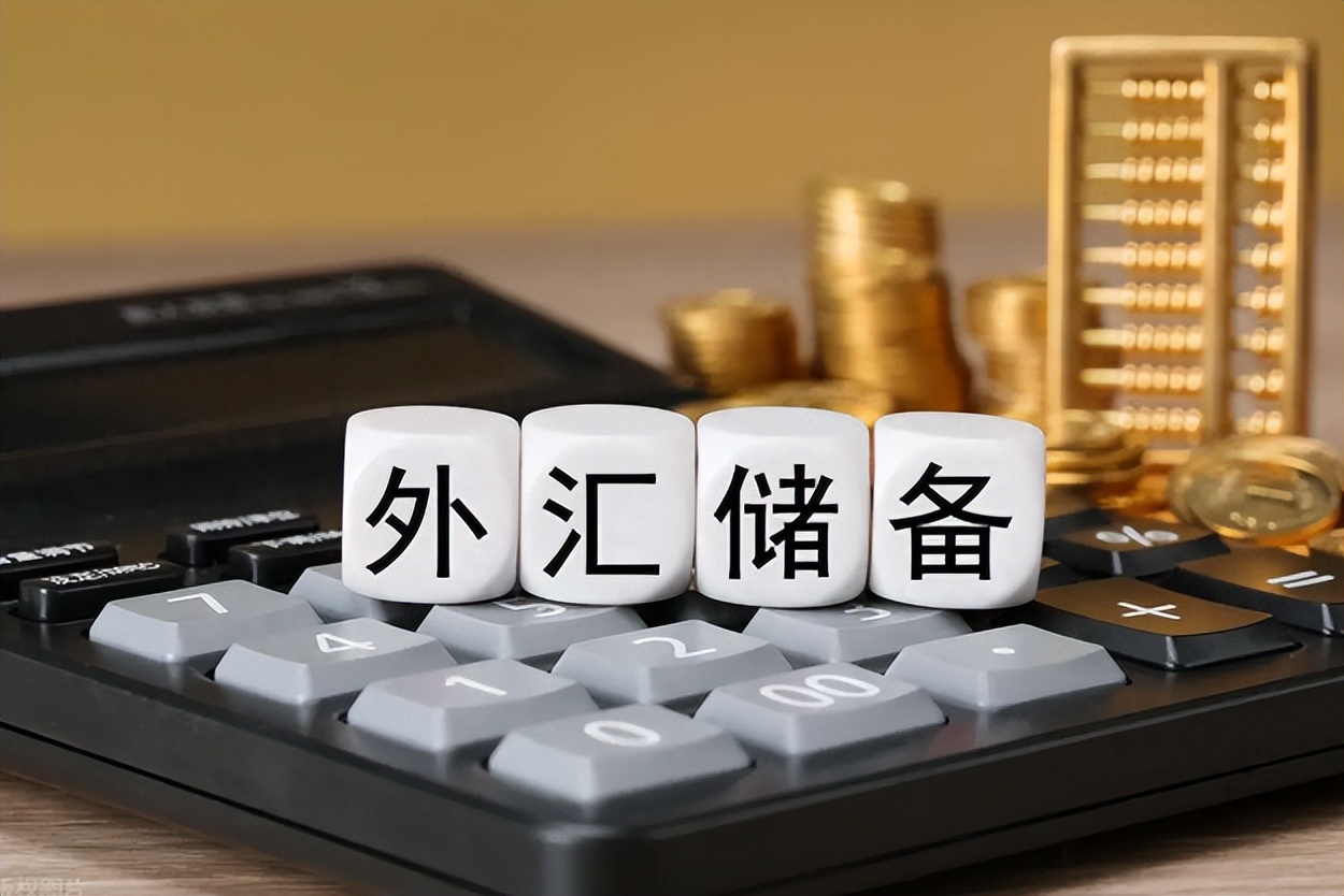 黄金储备增加分析_刘易斯模型分析中国目前高储蓄和高外汇储备的成因_外汇储备增长原因