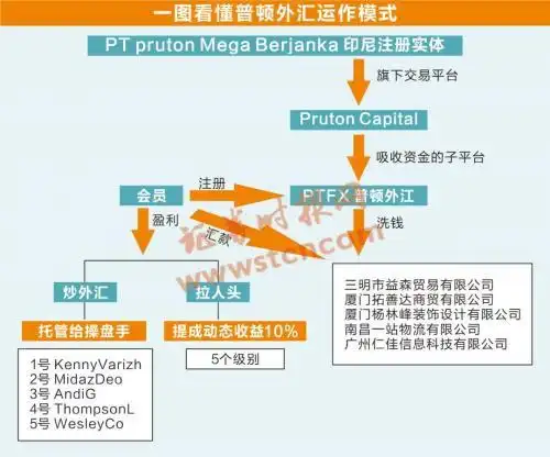 外汇投资理财平台PTFX_外汇交易交流群_PTFX普顿外汇平台