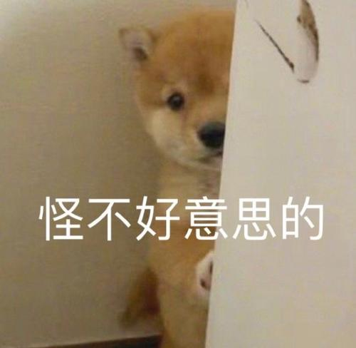 外汇投资能赚钱吗_外汇投资诈骗真实案例_微信陌生好友带你投资赚钱