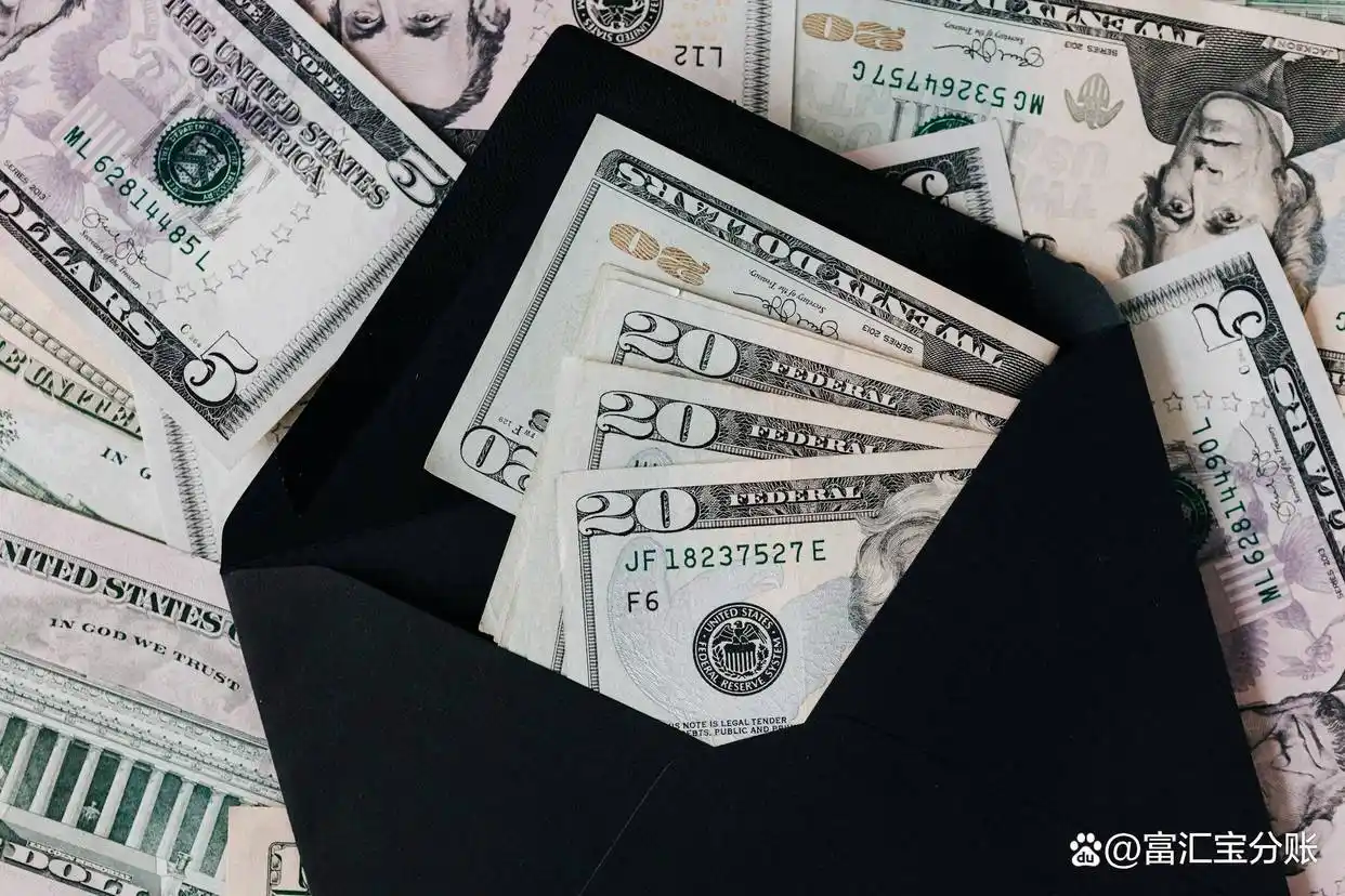 个人企业跨境资金管理_外汇结汇操作流程_公司外汇交易