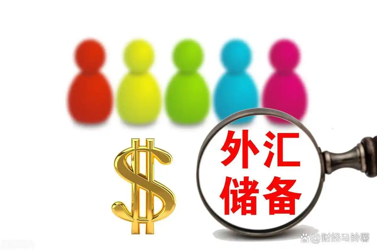 国家外汇储备的作用_外汇储备定义_外汇储备作用